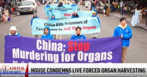 China stop murdering for organs (parade)