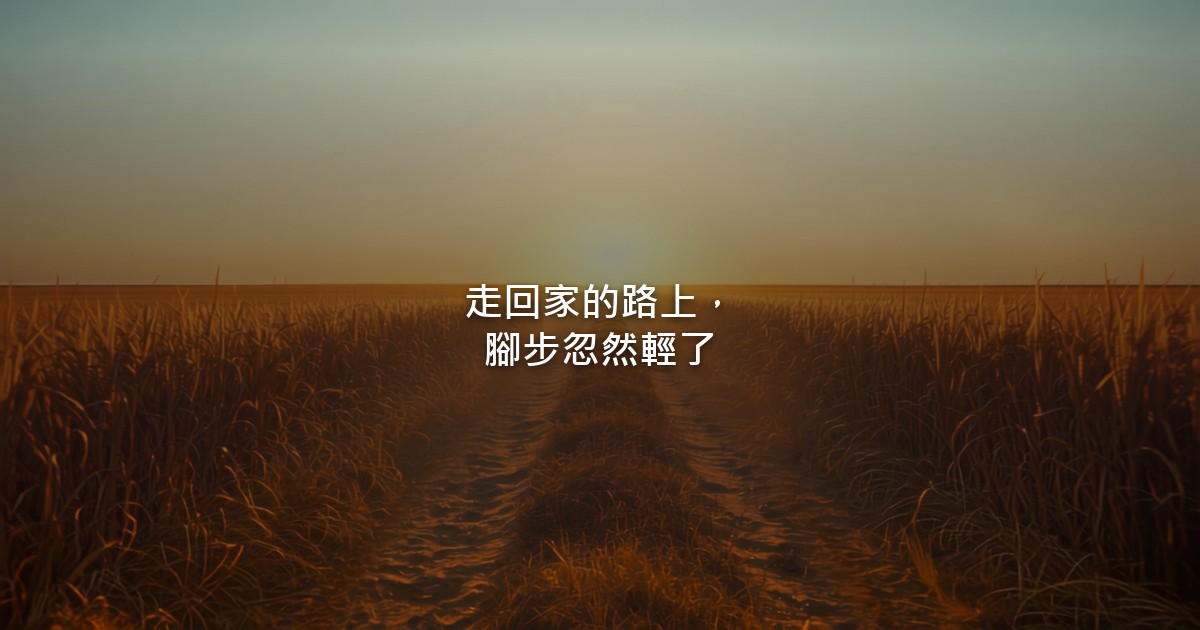 清晨的鄉間小路,兩旁是農田,路面被薄霧籠罩,沒有人物。
