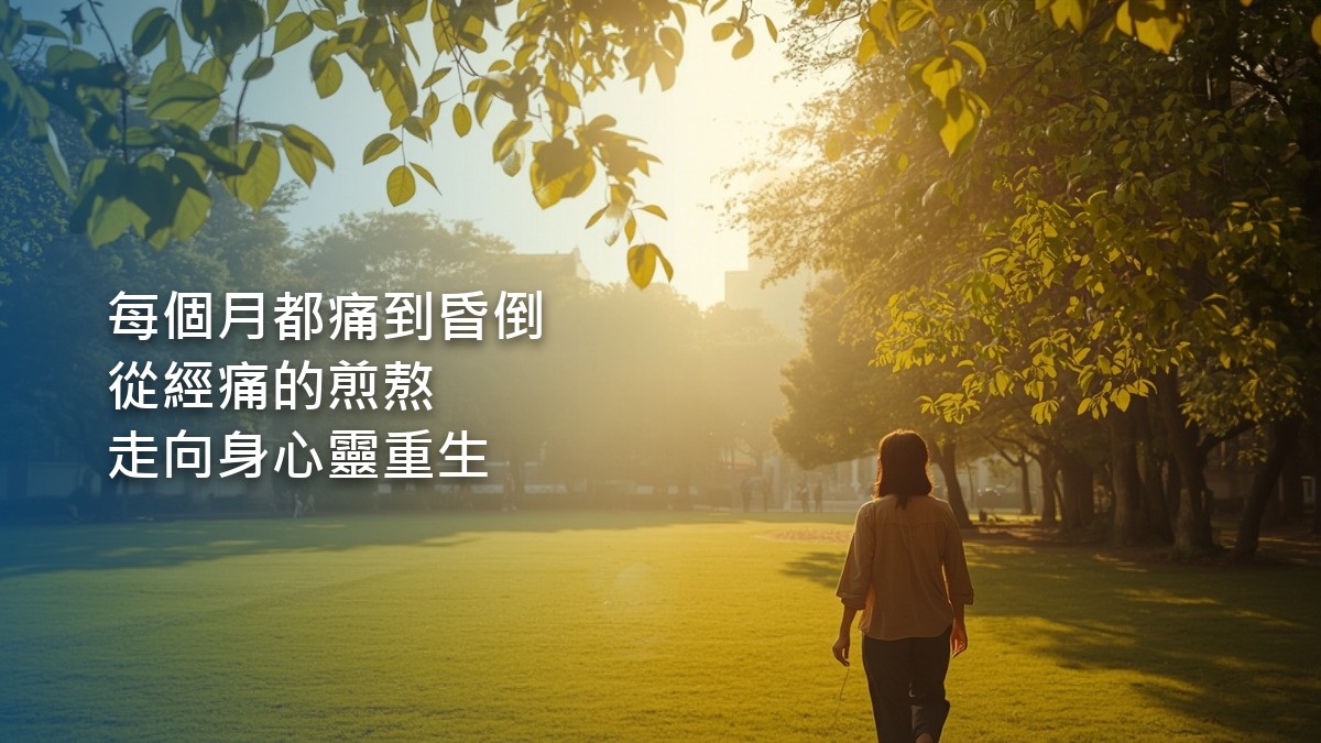 晴朗的早晨，陽光穿過公園的大樹，幾位不同年紀的人在草地上排成一列，雙盤靜坐，雙手在小腹前輕輕相疊。