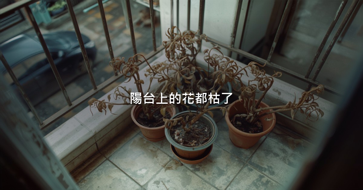 住家陽台的一角,磁磚地上擺著幾盆花草,全都已經枯萎,鐵欄杆外是安靜的街道。