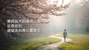 春天的公園裡，一輛腳踏車靠在開滿花的大樹旁，晨光穿過花影，畫面裡沒有人。