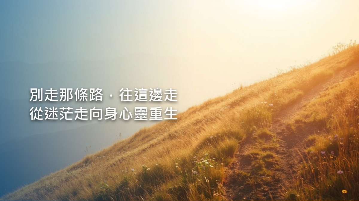 清晨的陽光灑在山間小徑上，小徑向前方明亮的山坡延伸，兩旁是柔軟的綠草與野花。